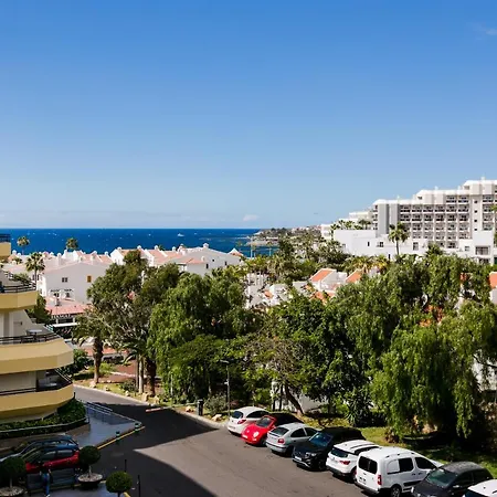 The Bluebird Daire *